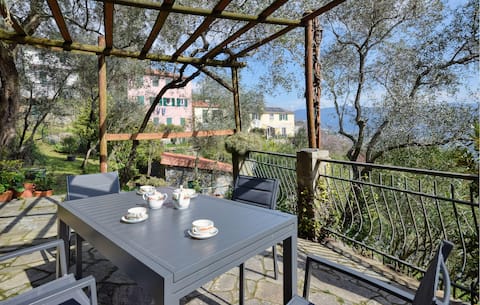 4 bedroom nice home in Camogli