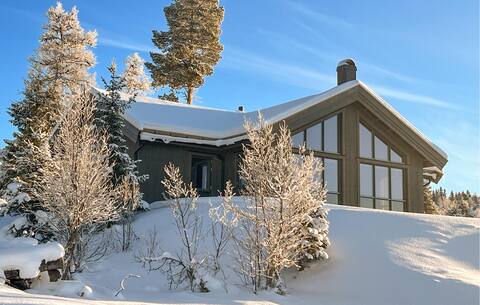 Pet friendly home in Gålå with kitchen
