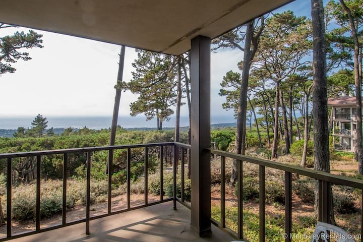 Ocean Pines #28 - Luxury Oceanview - Monterey, CA
