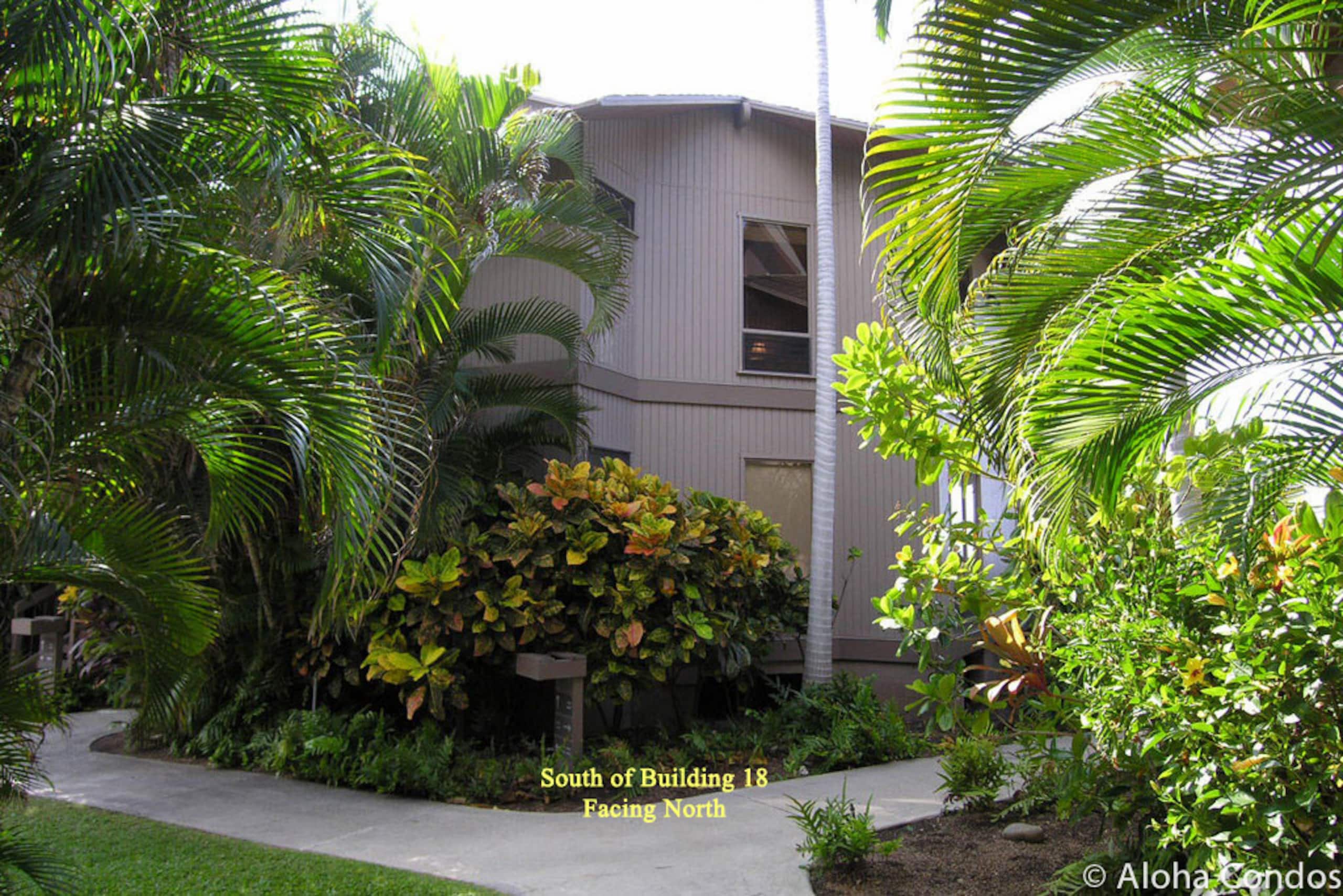 Kanaloa at Kona Condo 1804 - Aloha Condos - Image 40