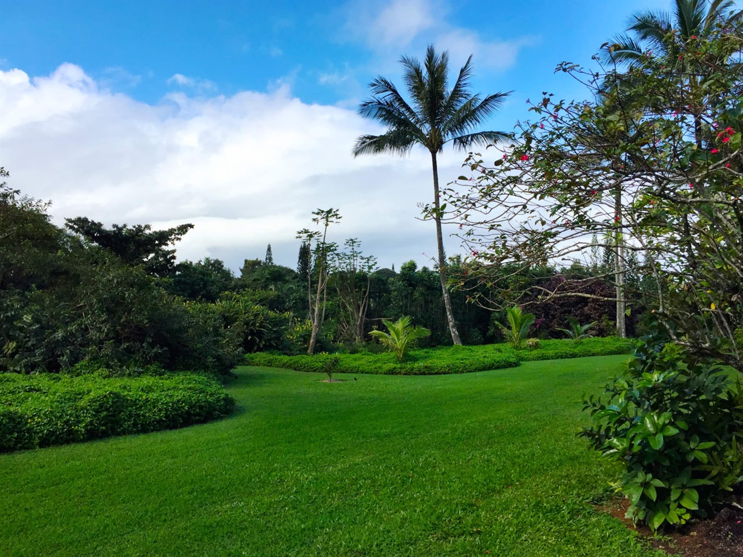 Condo in Princeville · ★4.63 · 2 bedrooms · 2 beds · 2 private baths - Image 14