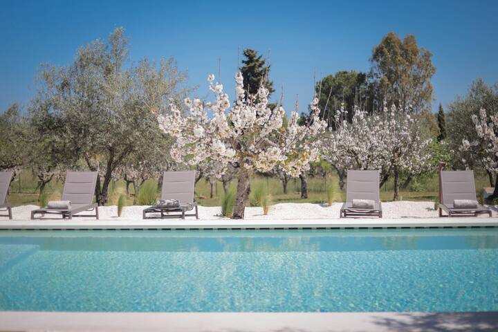 TD Marlù Luxury Trulli Experience w/ Stunning Pool gallery image 3