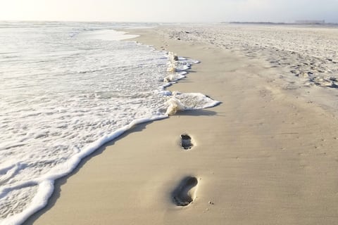 Successful Airbnb property: Pelican Watch Beach House on Dauphin Island AL in Dauphin Island