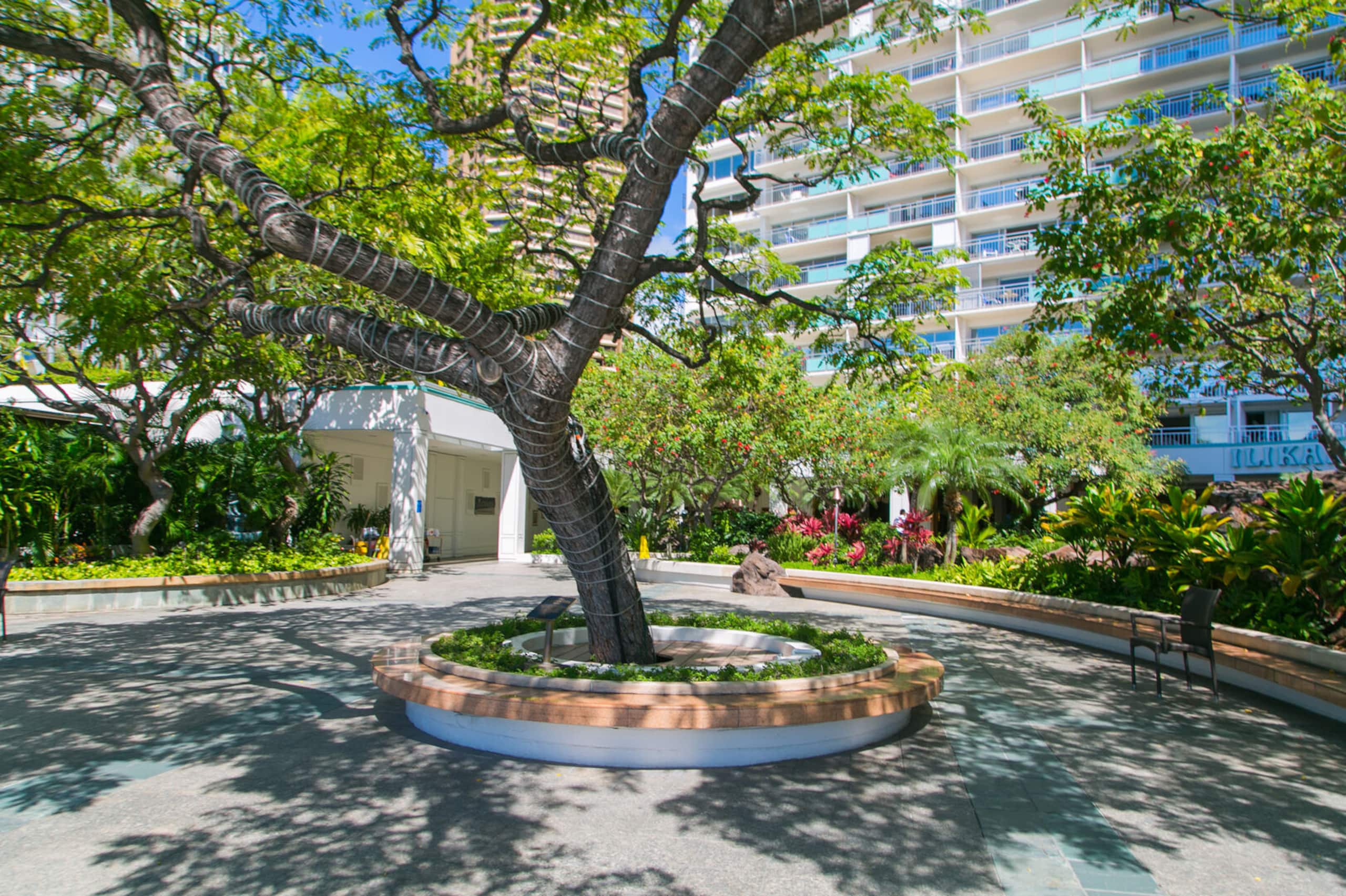 Condo in Honolulu · ★4.83 · 1 bedroom · 3 beds · 1 bath - Image 22