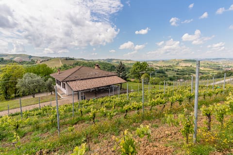 Panorama villa nestled among the vineyards, Langhe