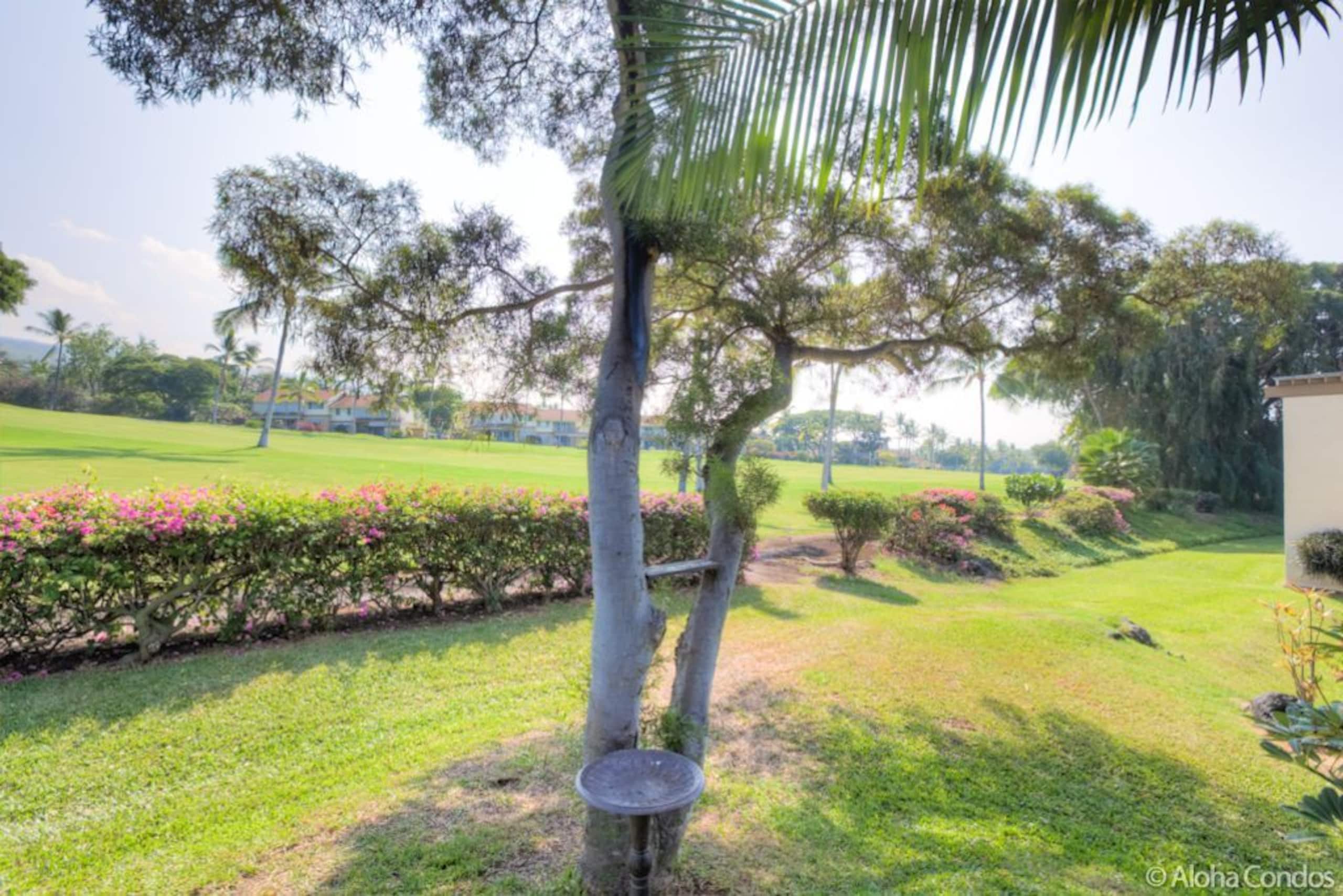 Kona Coast Resort Townhome 4-102 - Aloha Condos - Photo 59