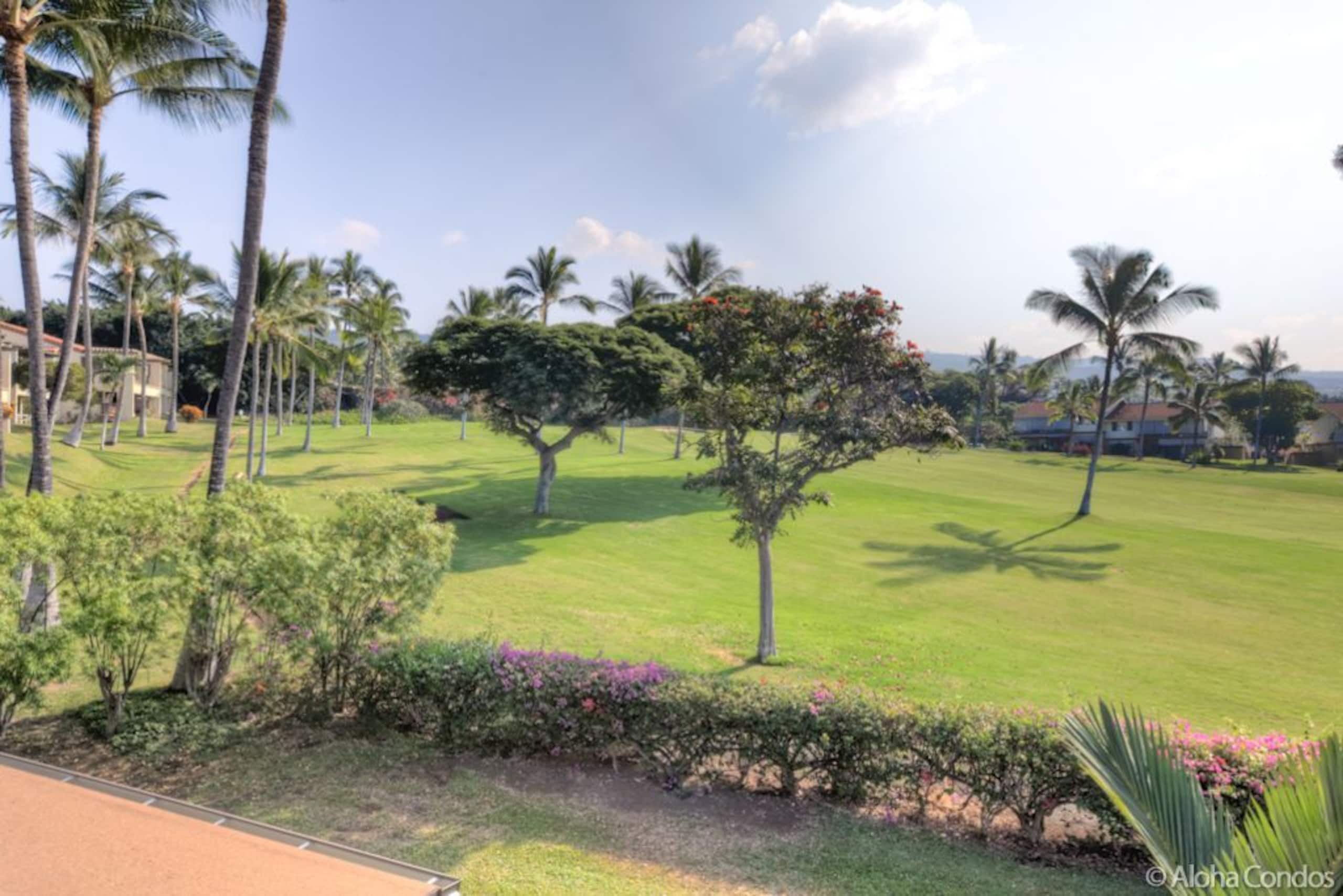 Kona Coast Resort Townhome 4-102 - Aloha Condos - Photo 54
