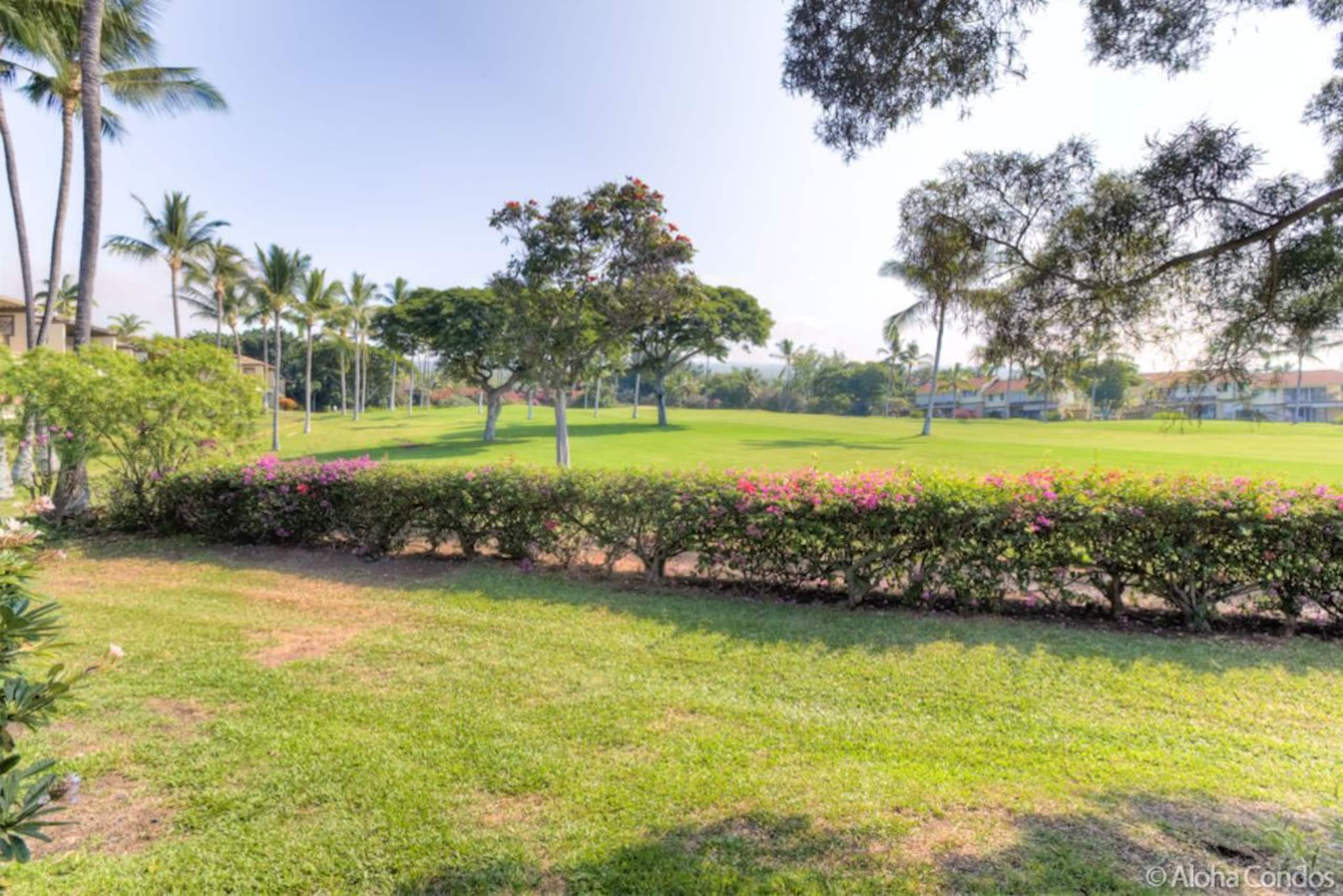Kona Coast Resort Townhome 4-102 - Aloha Condos - Photo 56