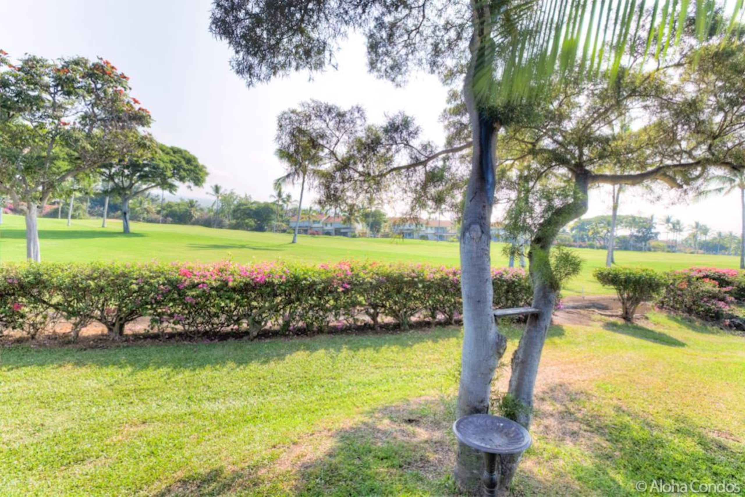 Kona Coast Resort Townhome 4-102 - Aloha Condos - Photo 57