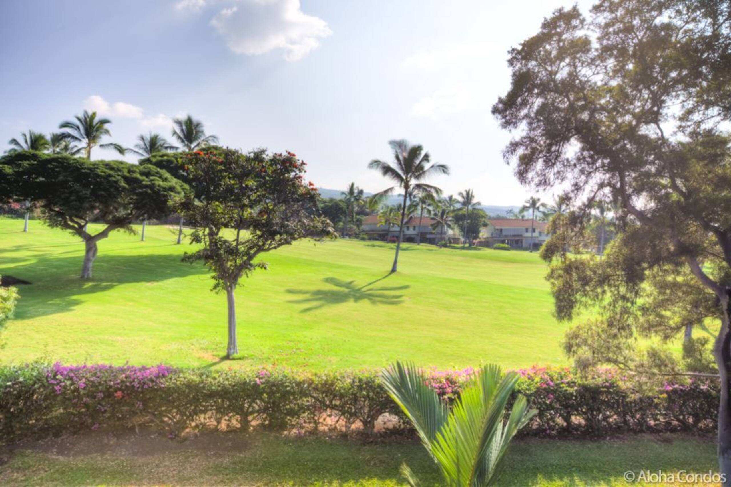 Kona Coast Resort Townhome 4-102 - Aloha Condos - Photo 61