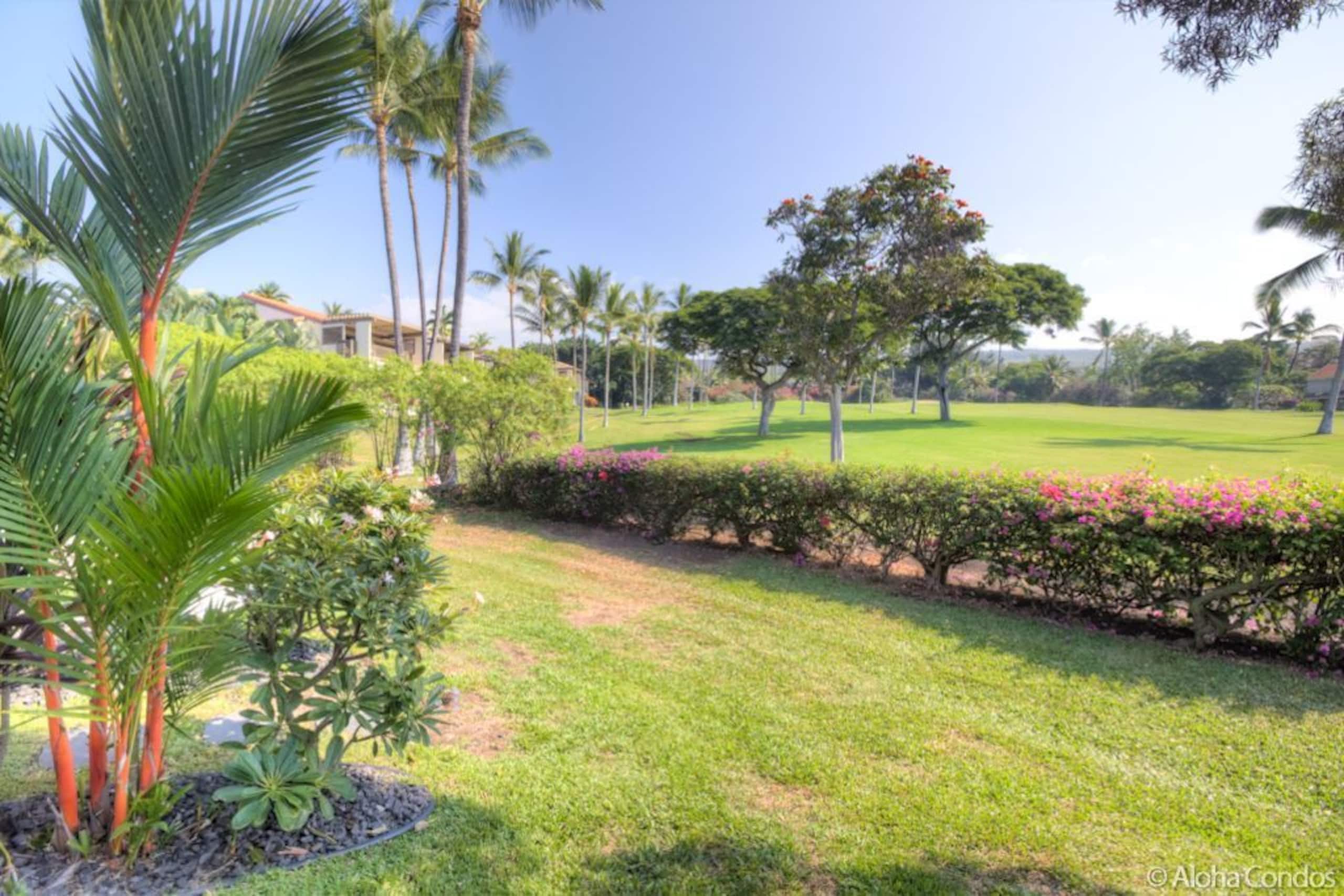 Kona Coast Resort Townhome 4-102 - Aloha Condos - Photo 53