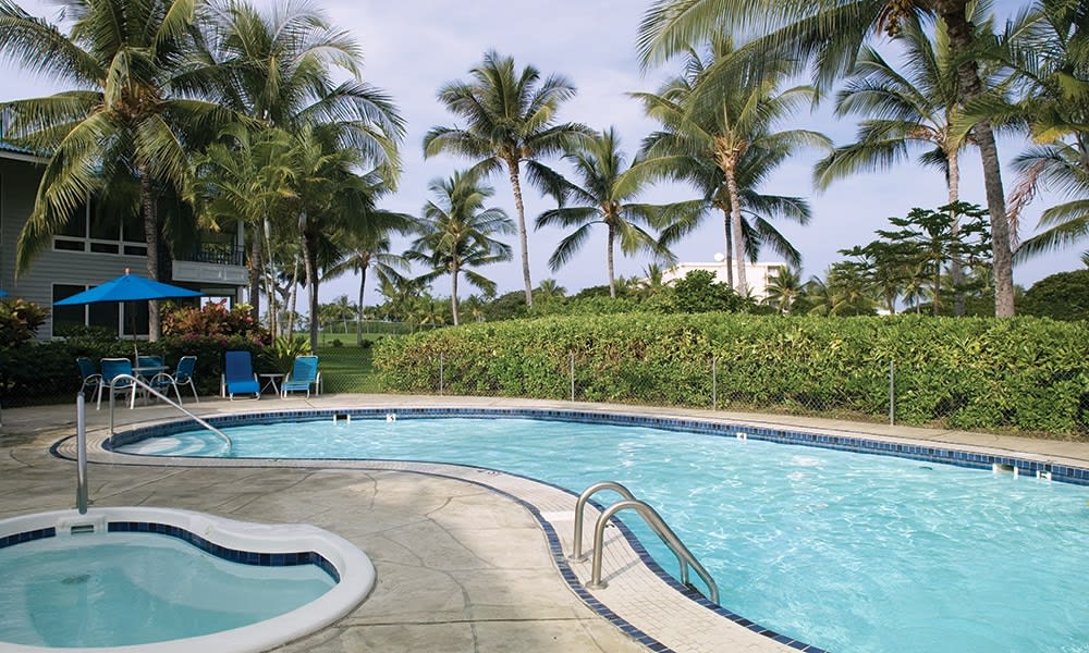 A sparkling outdoor swimming pool is surrounded by palm trees, offering a serene retreat. A small hot tub is situated adjacent to the pool, both featuring inviting turquoise water. Lounge chairs are positioned nearby for relaxation, set against a backdrop of lush greenery.