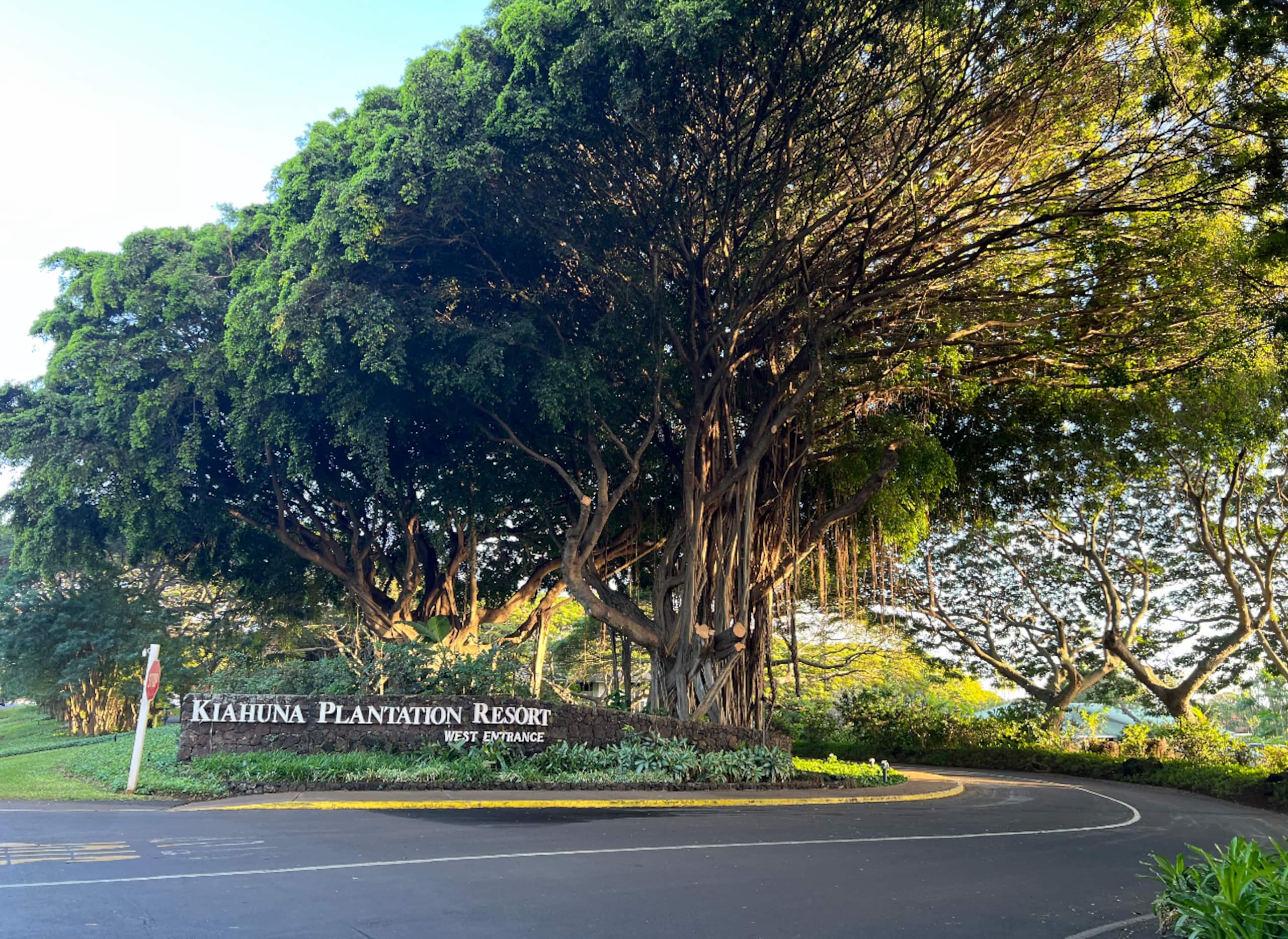 KP212 Ocean View | AC•Pool•Gym | Two Lanais - Photo 38