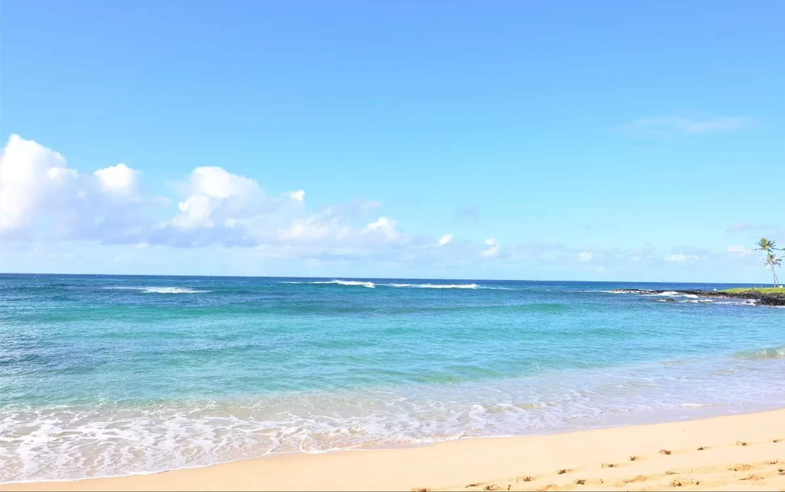KP212 Ocean View | AC•Pool•Gym | Two Lanais - Photo 39