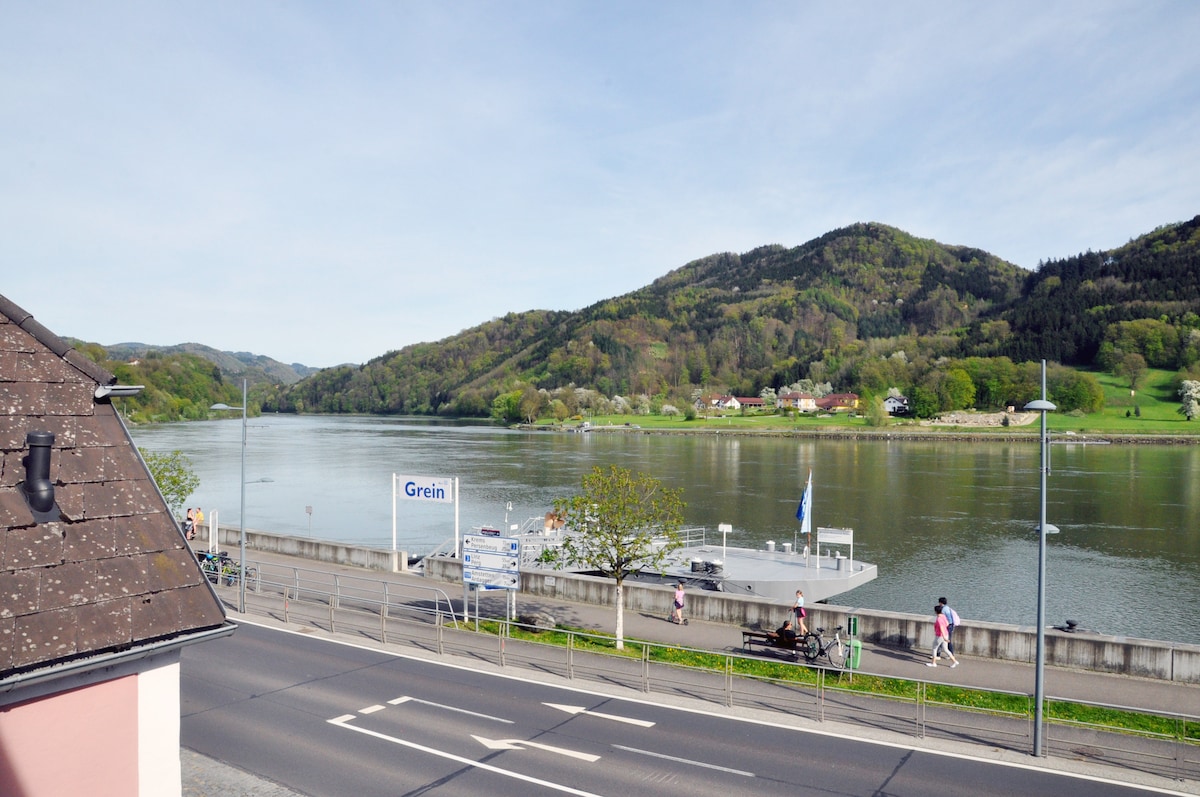 The view from the property overlooks the Danube River, with lush green hills in the background. A riverside promenade is visible, along with access points for visitors. The scene is enhanced by a clear sky and serene waters, inviting leisurely exploration.