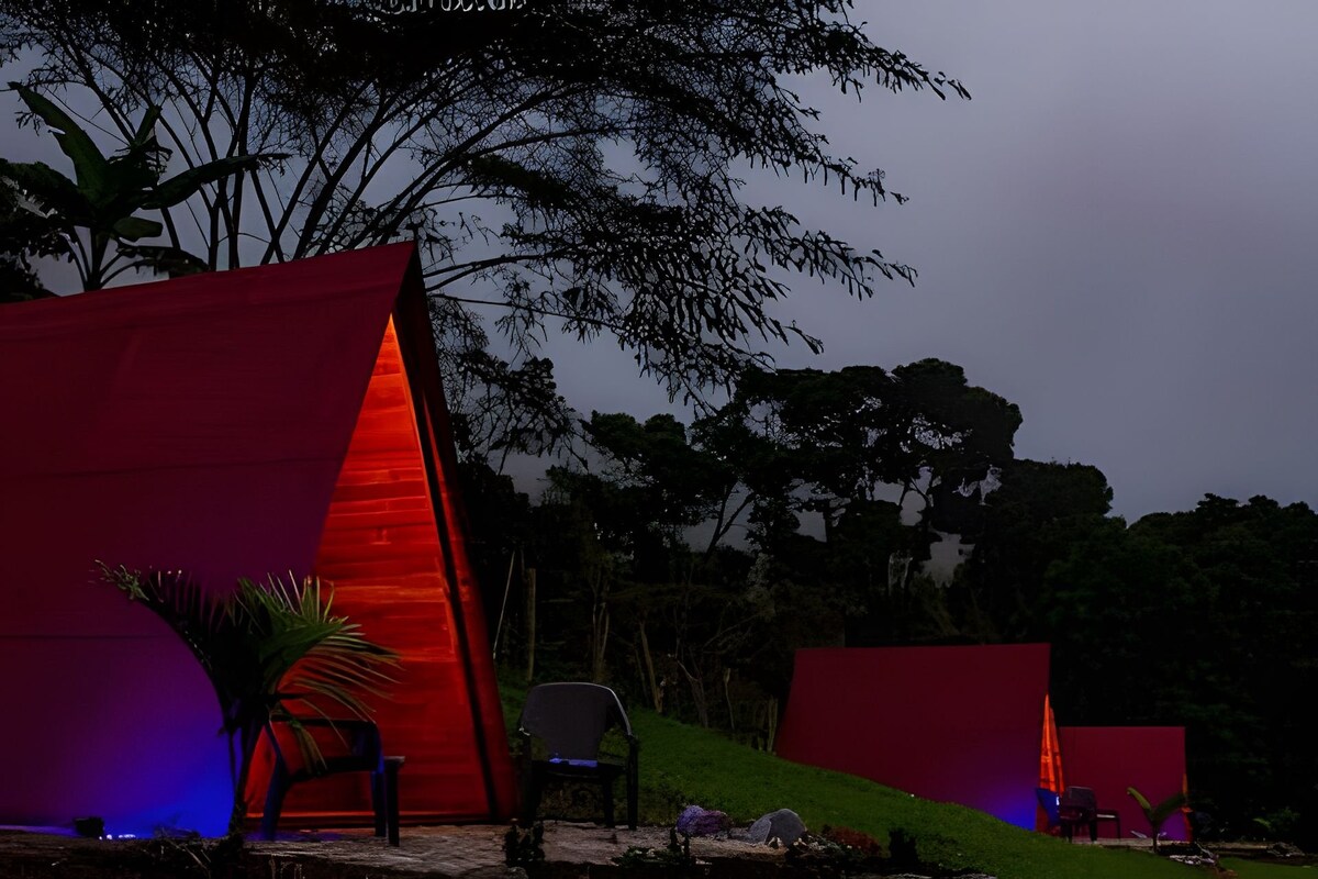 Distinctive triangular cabins with wooden exteriors are positioned amidst lush greenery. Soft blue lighting highlights the entrances, creating a serene ambiance. Dark silhouettes of trees rise in the background, framing the peaceful setting as evening descends.