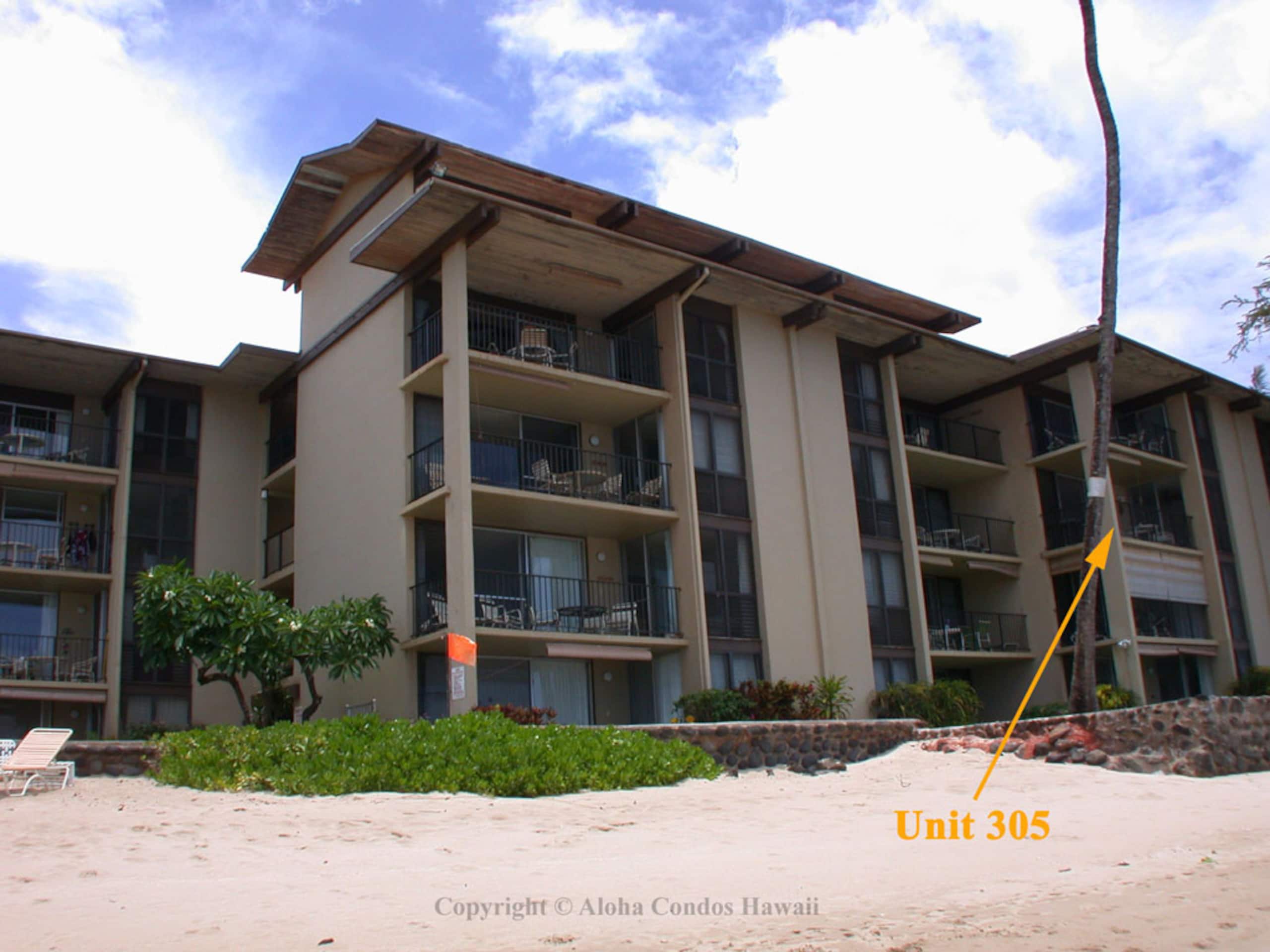 Nohonani Condos & Resort Condo 305 - Aloha Condos - Image 35