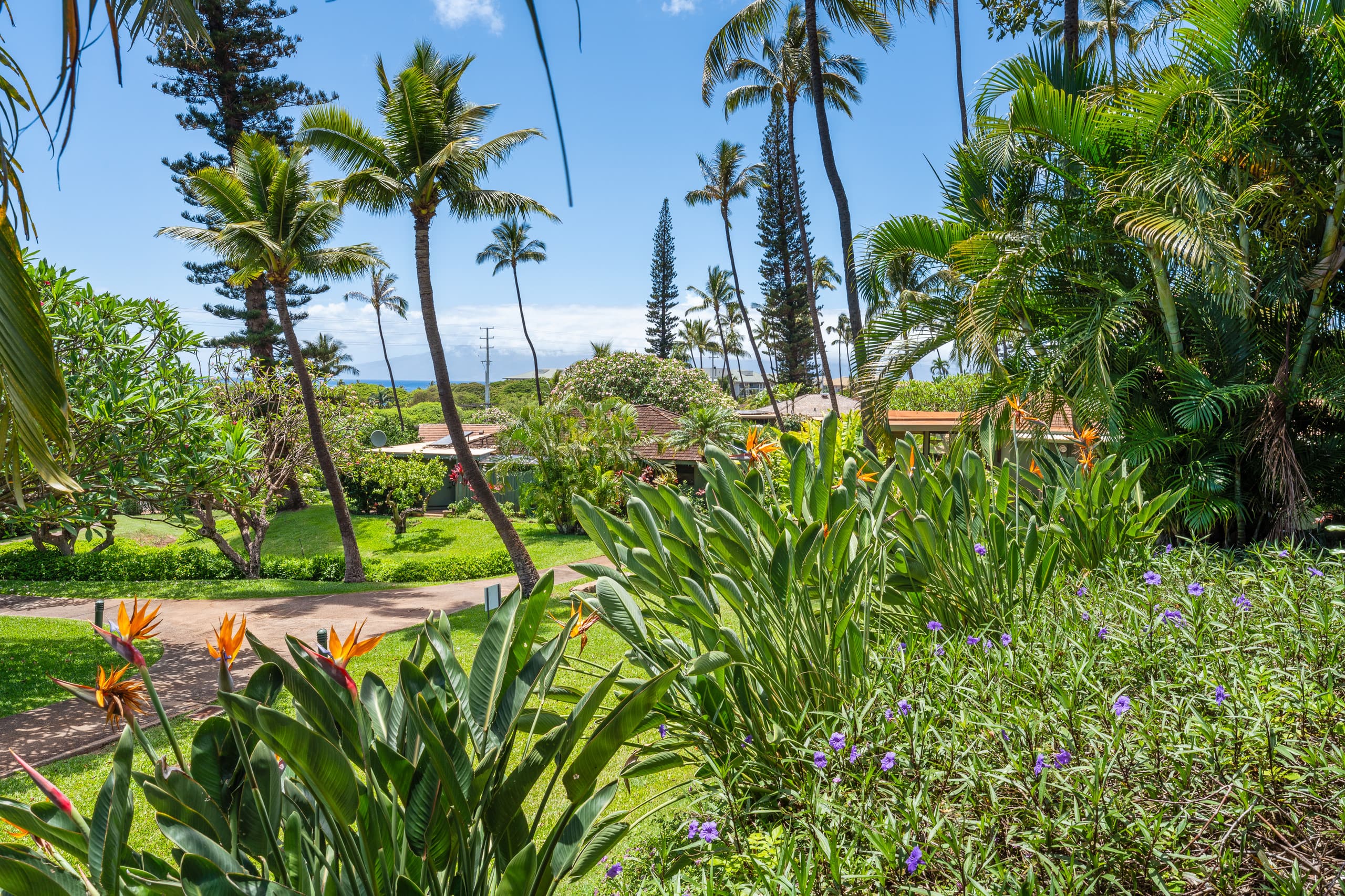 Condo in Lahaina · ★4.85 · 3 bedrooms · 4 beds · 2 baths - Image 37