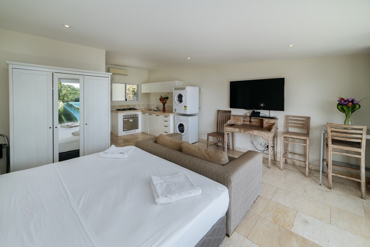 A spacious studio apartment is displayed, featuring a comfortable sleeping area with a large bed and a cozy sofa. A fully equipped kitchen is visible, alongside a dining area with wooden chairs. A washer and dryer are conveniently located in the corner, and light enters through the windows.