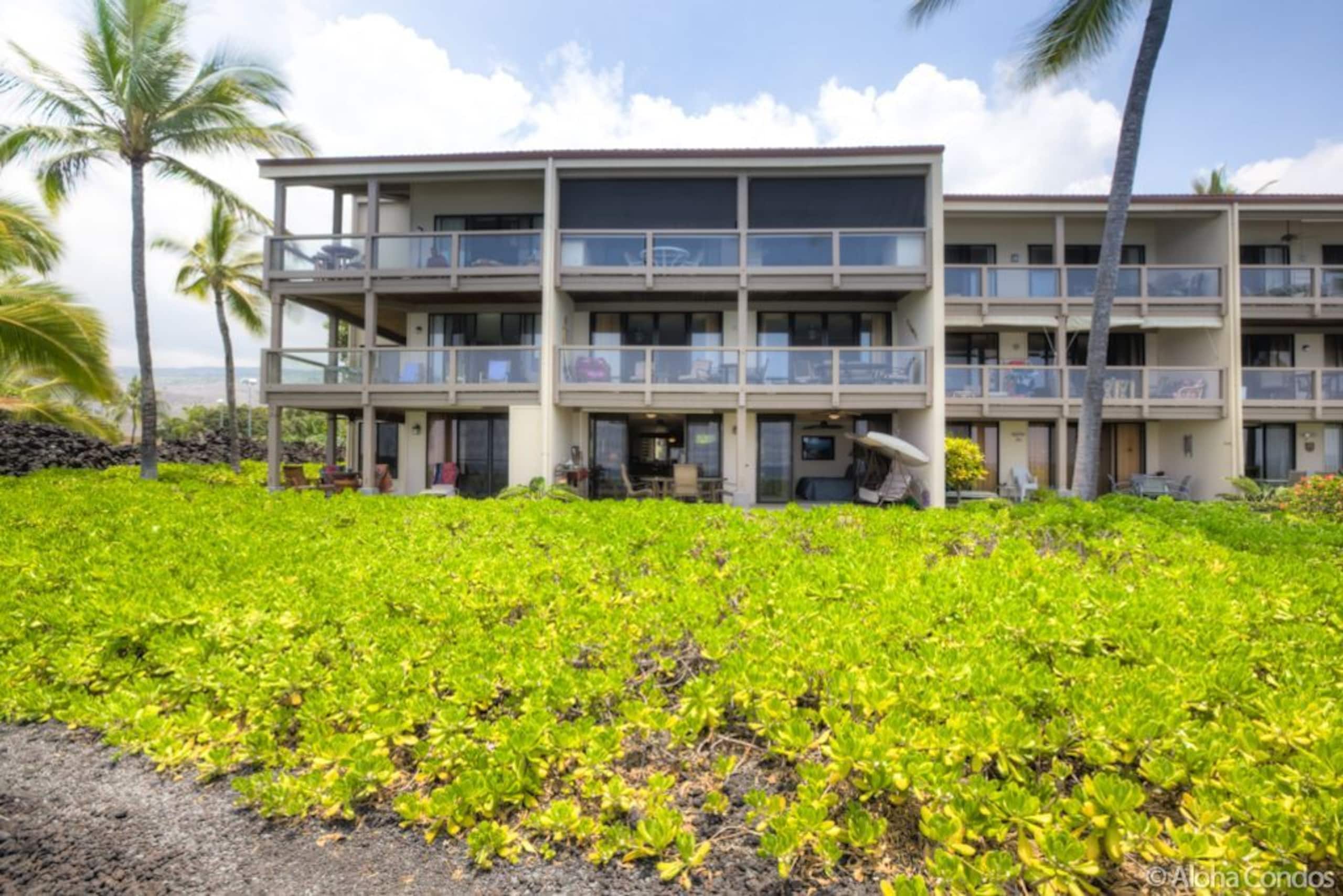 Keauhou Kona Surf Condo 1-102 - Aloha Condos - Photo 14