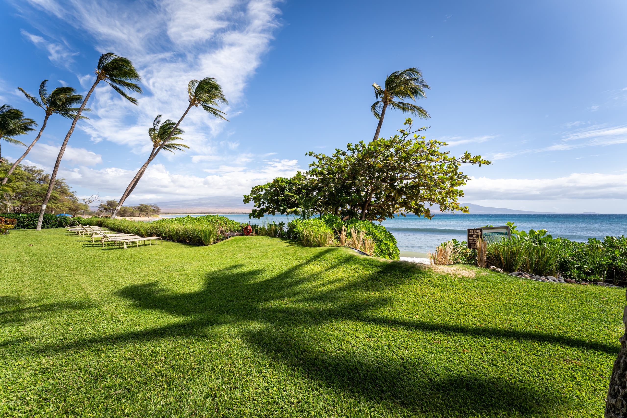 Condo in Wailuku · ★4.94 · 1 bedroom · 1 bed · 1 private bath - Image 42
