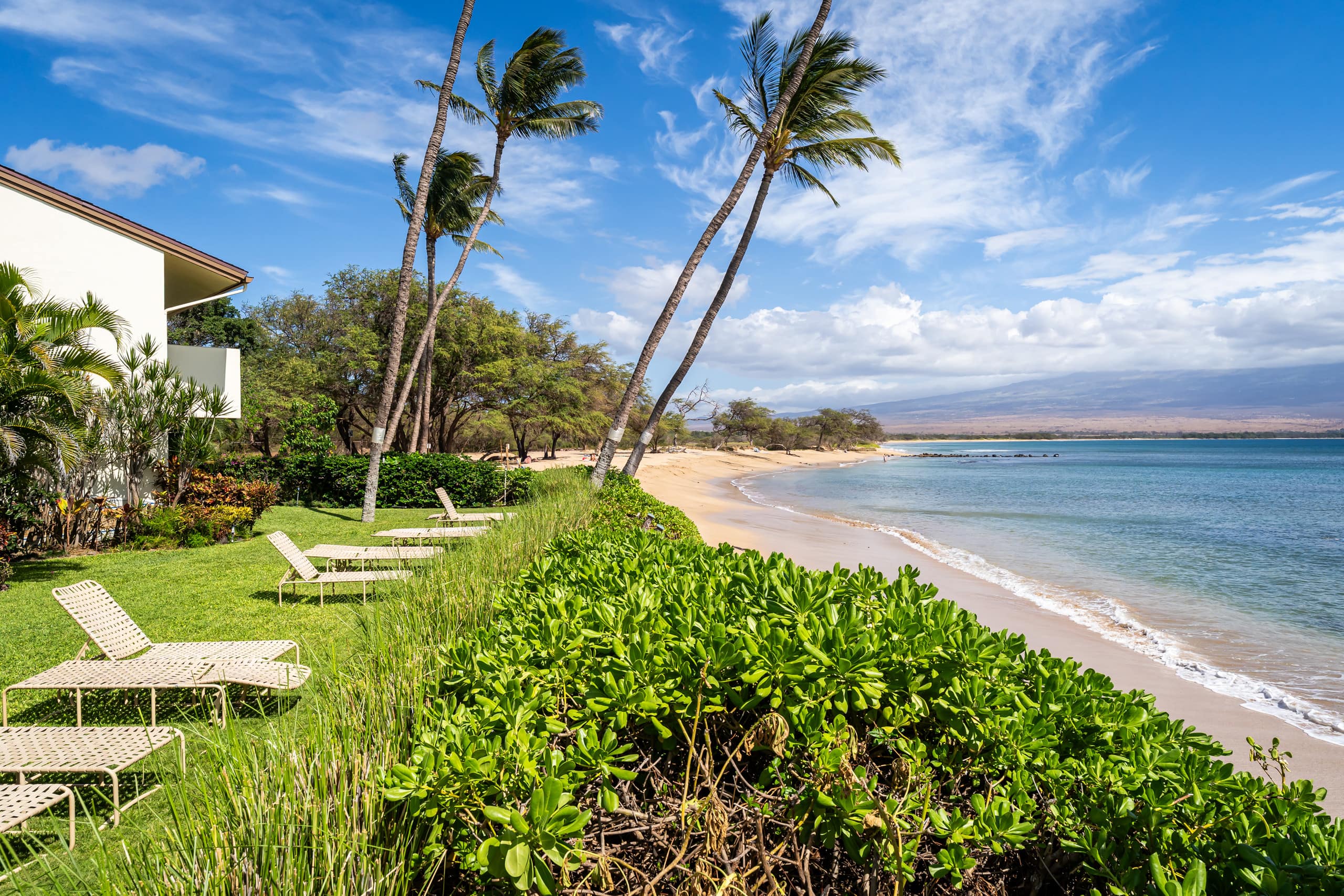 Condo in Wailuku · ★4.94 · 1 bedroom · 1 bed · 1 private bath - Image 44