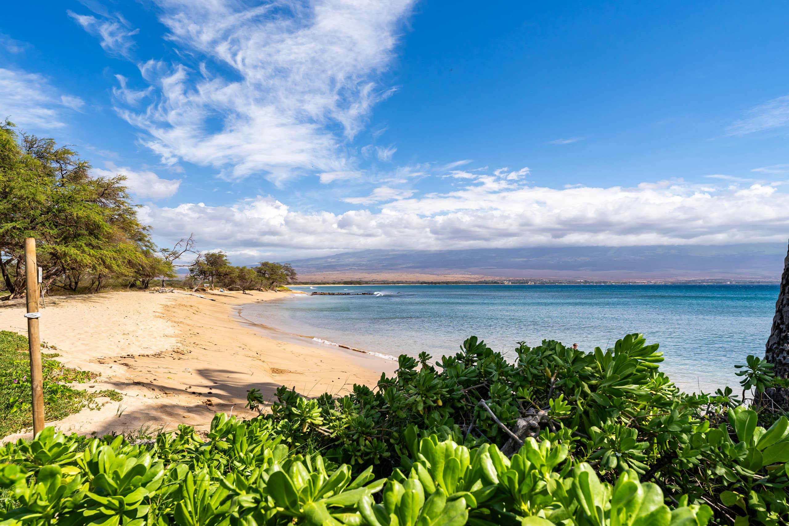 Condo in Wailuku · ★4.94 · 1 bedroom · 1 bed · 1 private bath - Image 40