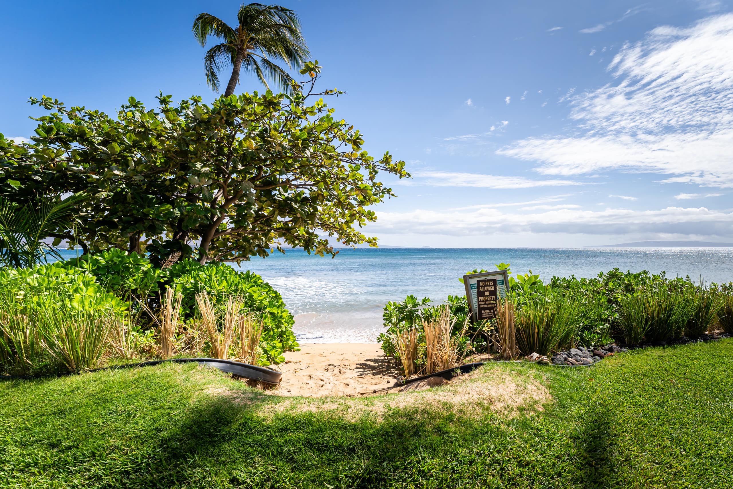 Condo in Wailuku · ★4.94 · 1 bedroom · 1 bed · 1 private bath - Image 43