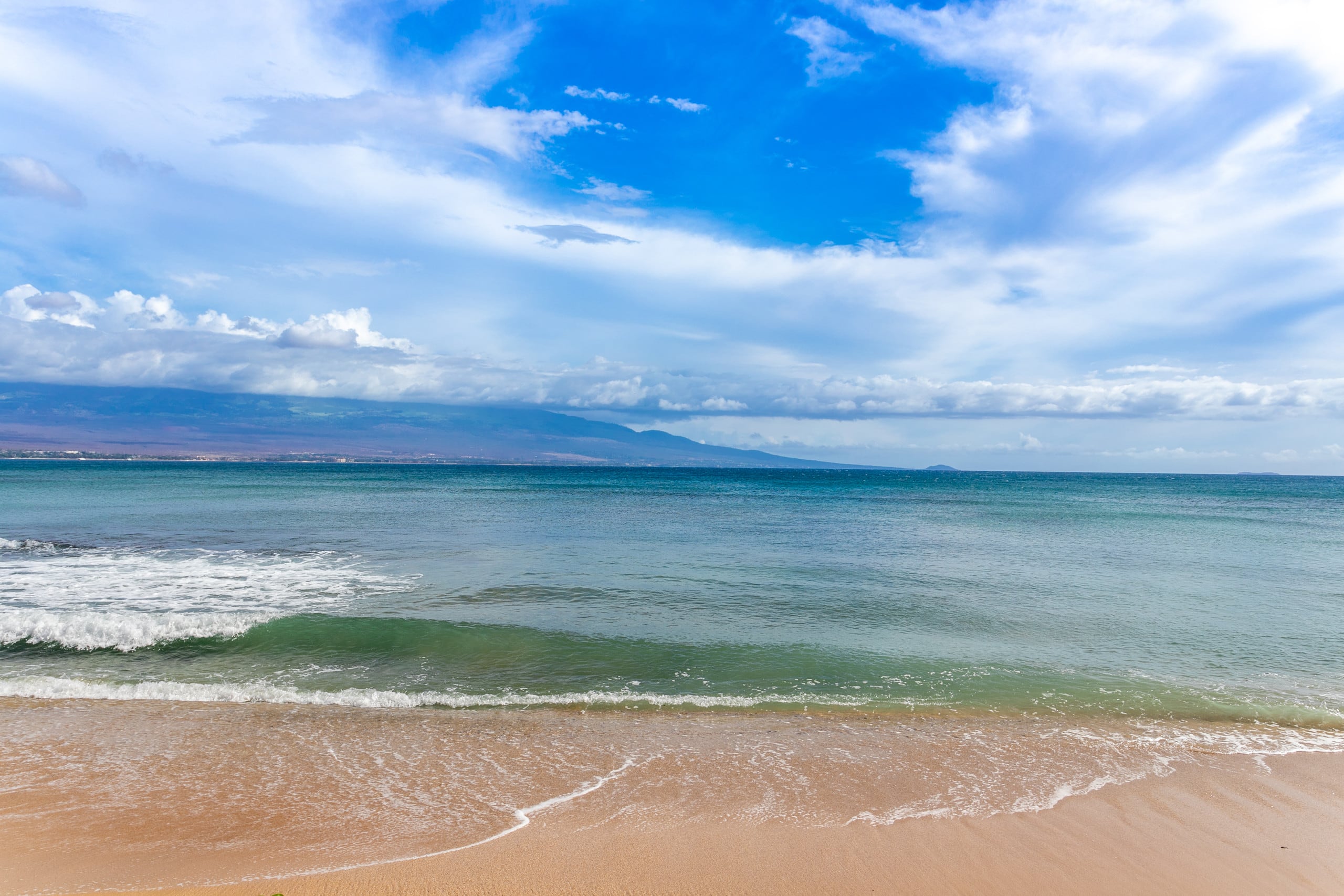 Condo in Wailuku · ★4.94 · 1 bedroom · 1 bed · 1 private bath - Image 38