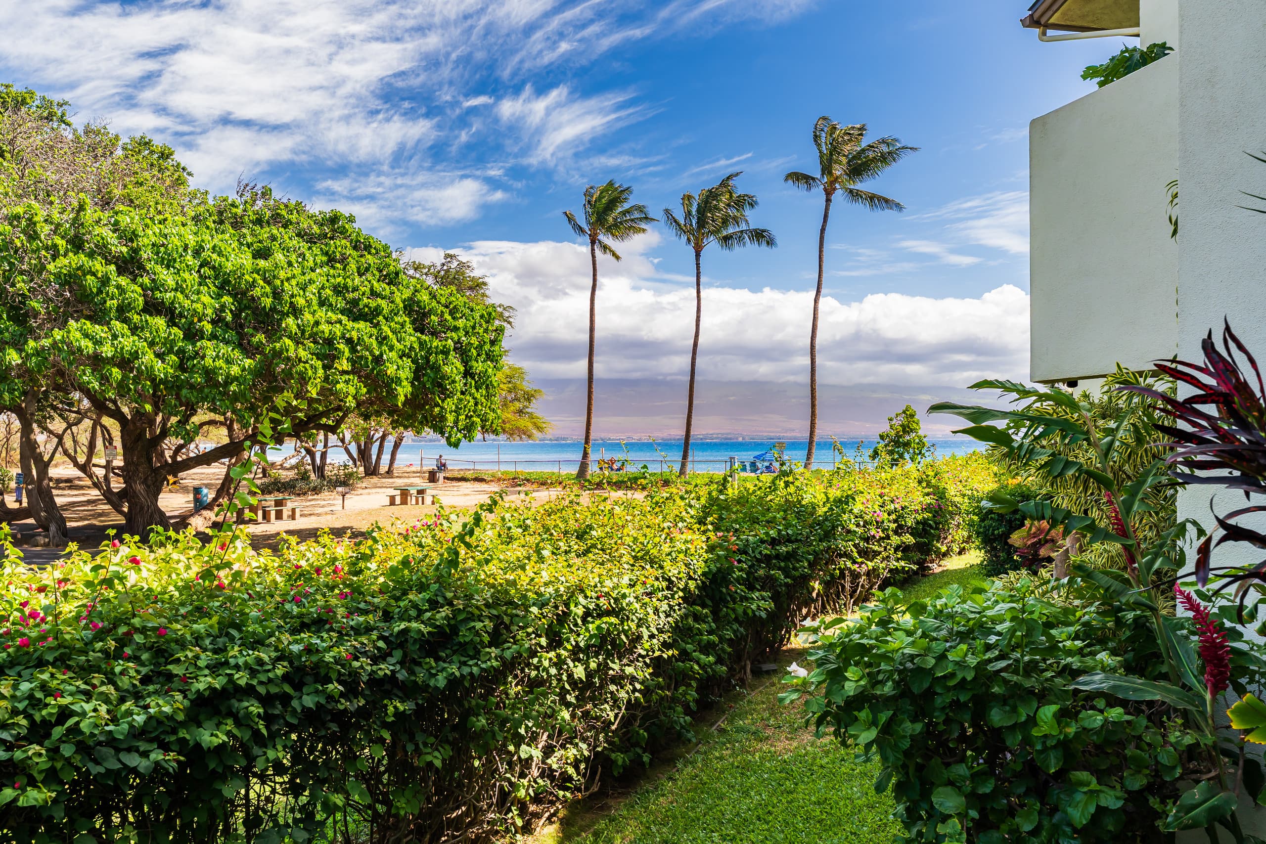 Condo in Wailuku · ★4.94 · 1 bedroom · 1 bed · 1 private bath - Image 29