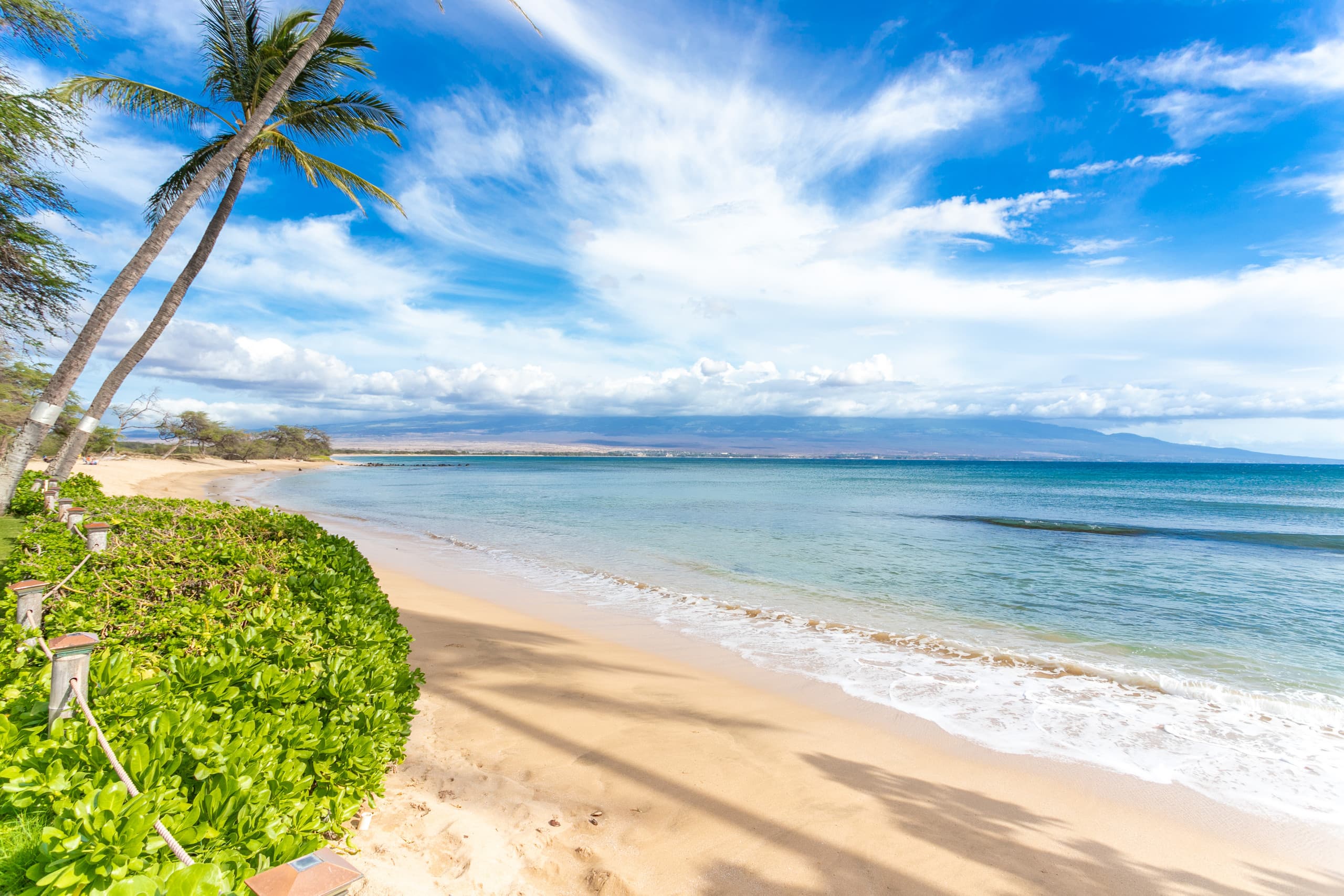 Condo in Wailuku · ★4.94 · 1 bedroom · 1 bed · 1 private bath - Image 41