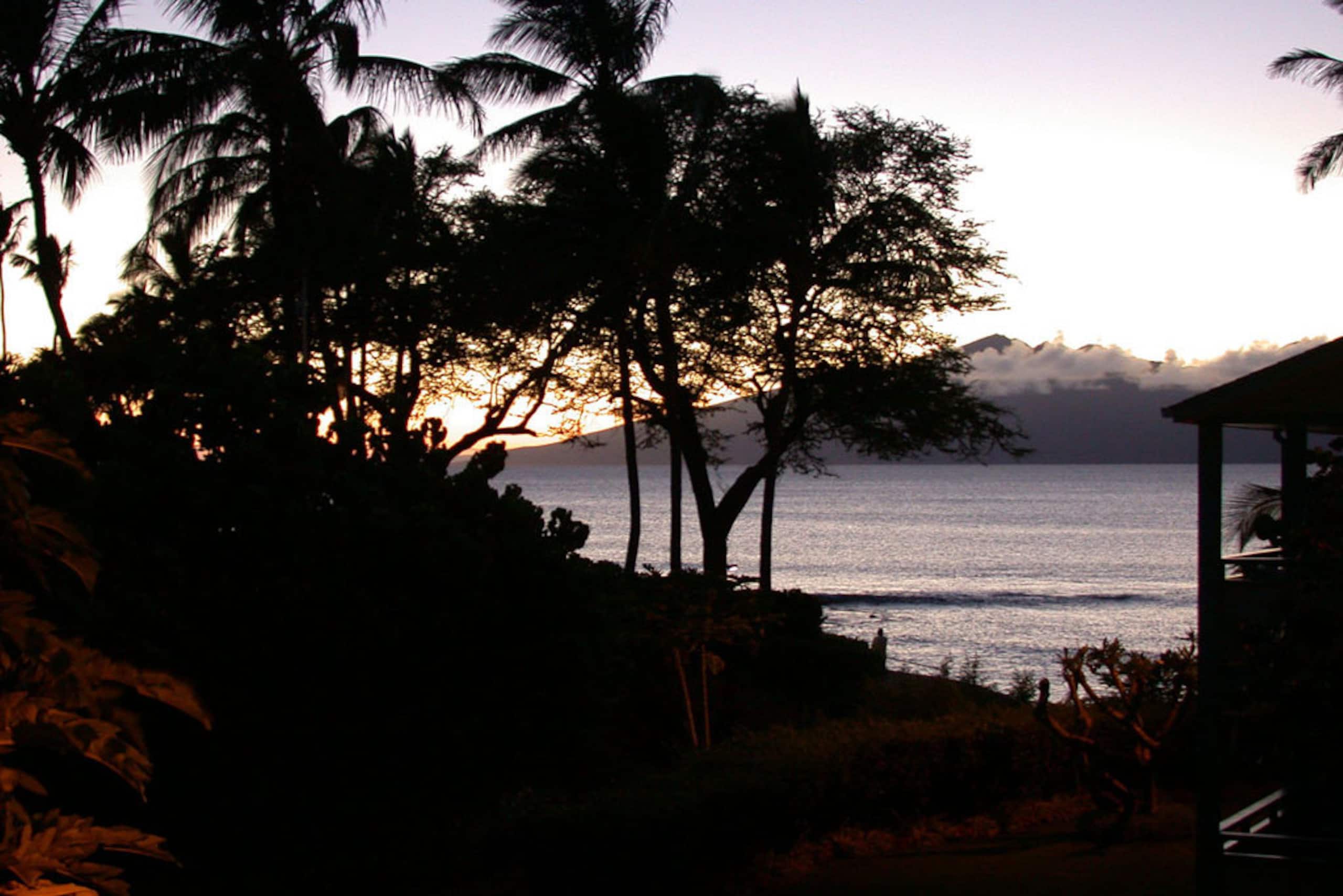 Napili Bay Resort Condo 217 - Aloha Condos - Photo 11