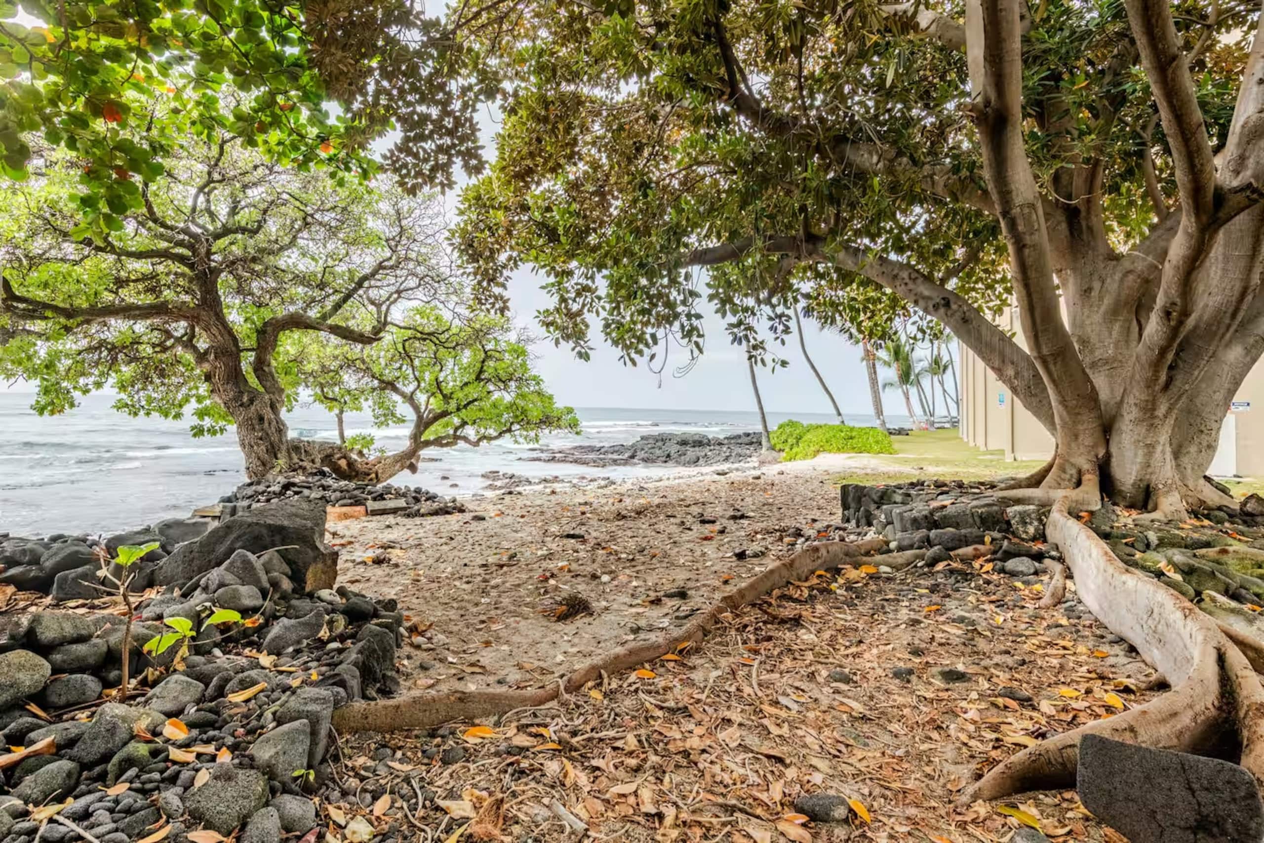 Condo in Kailua-Kona · ★4.94 · 2 bedrooms · 2 beds · 2 baths - Image 27