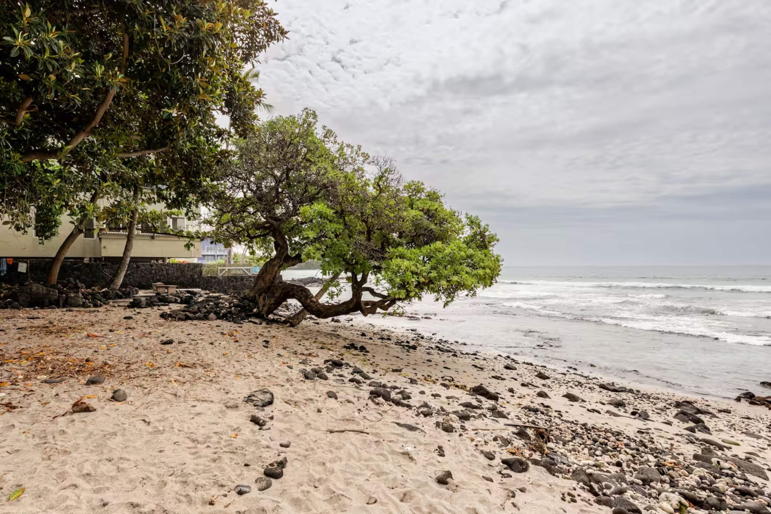 Condo in Kailua-Kona · ★4.94 · 2 bedrooms · 2 beds · 2 baths - Image 20
