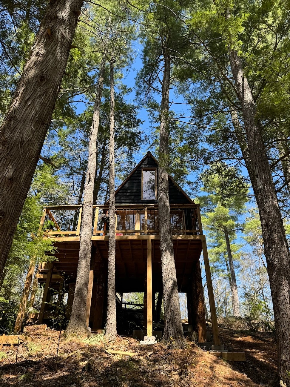 Waterfront Treehouse Treehouses for Rent in Ompah, Ontario, Canada