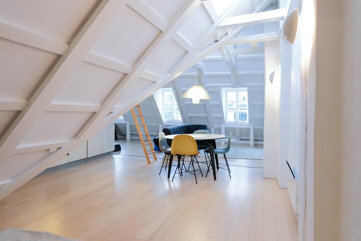 Lovely penthouse in the heart of Copenhagen – 64 gallery image 5