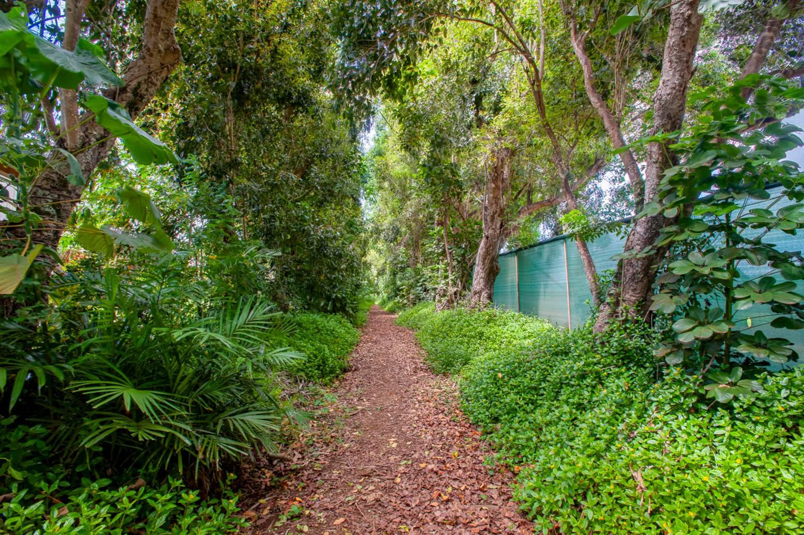 Home in Princeville · ★4.74 · Studio · 1 bed · 1 private bath - Image 34
