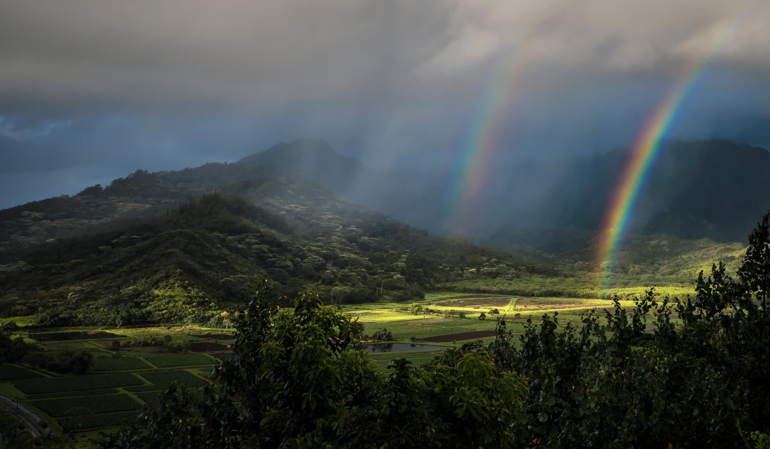 Home in Princeville · ★4.74 · Studio · 1 bed · 1 private bath - Image 41