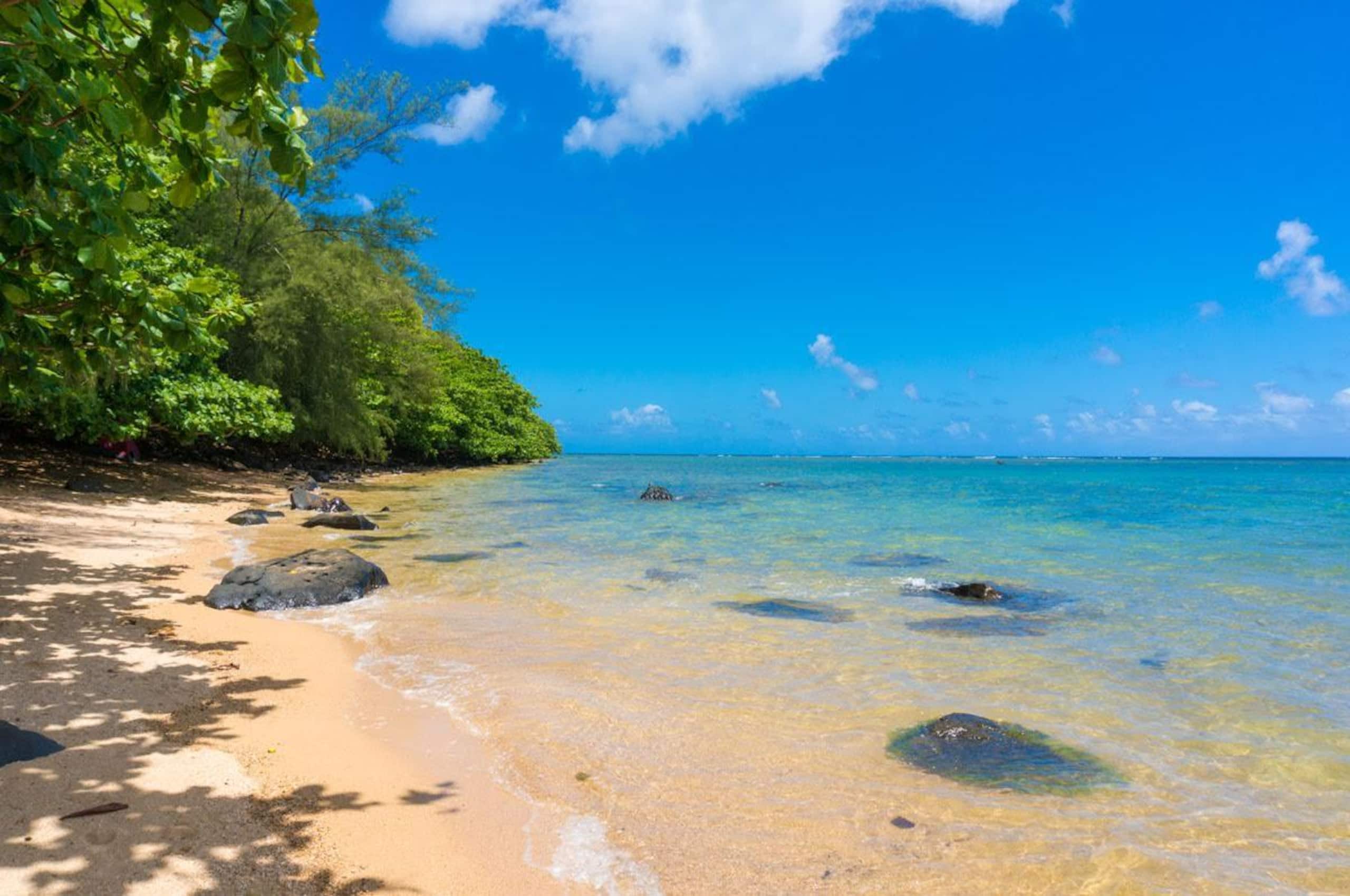 Home in Princeville · ★4.74 · Studio · 1 bed · 1 private bath - Image 42