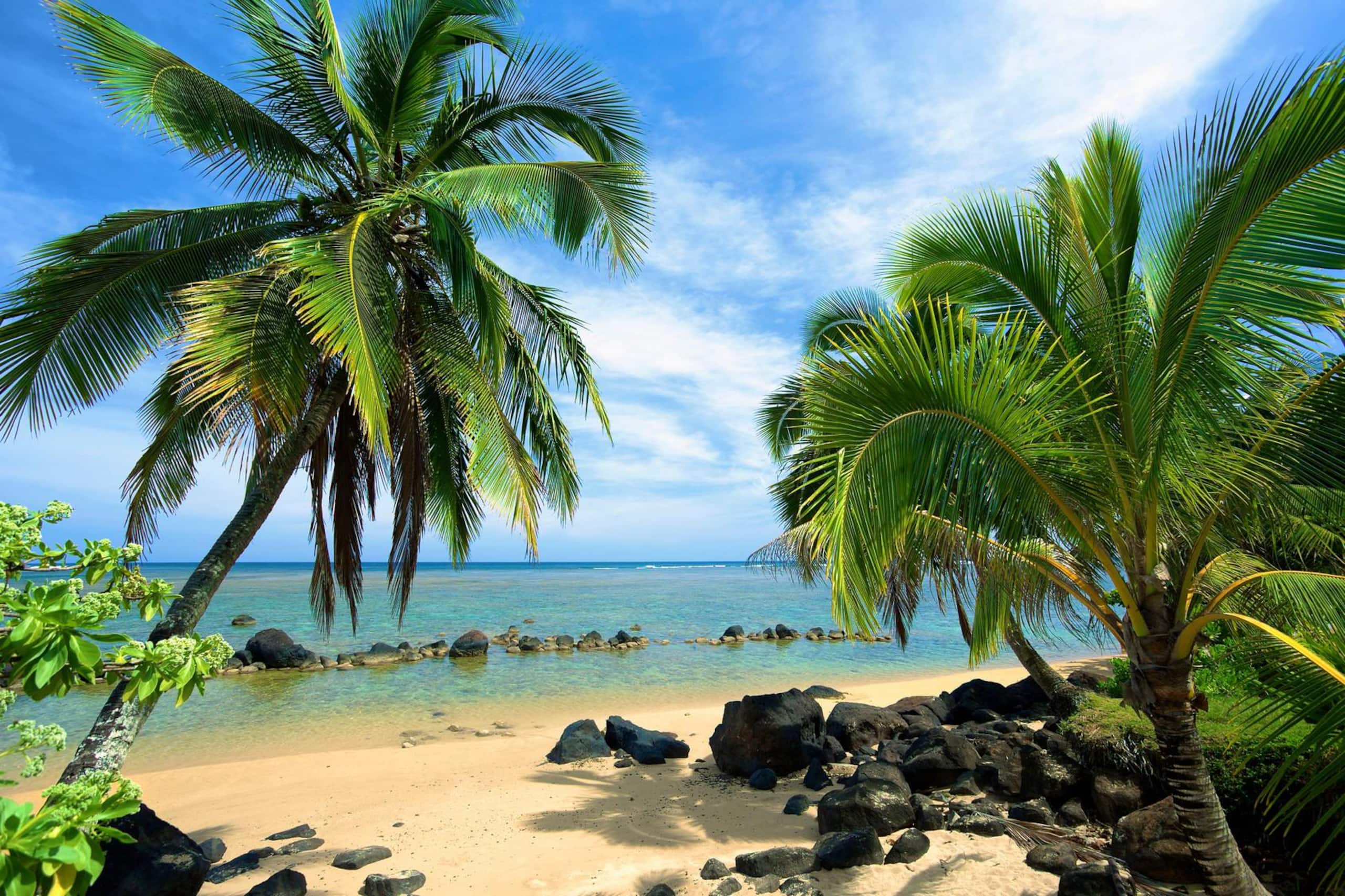 Home in Princeville · ★4.74 · Studio · 1 bed · 1 private bath - Image 6