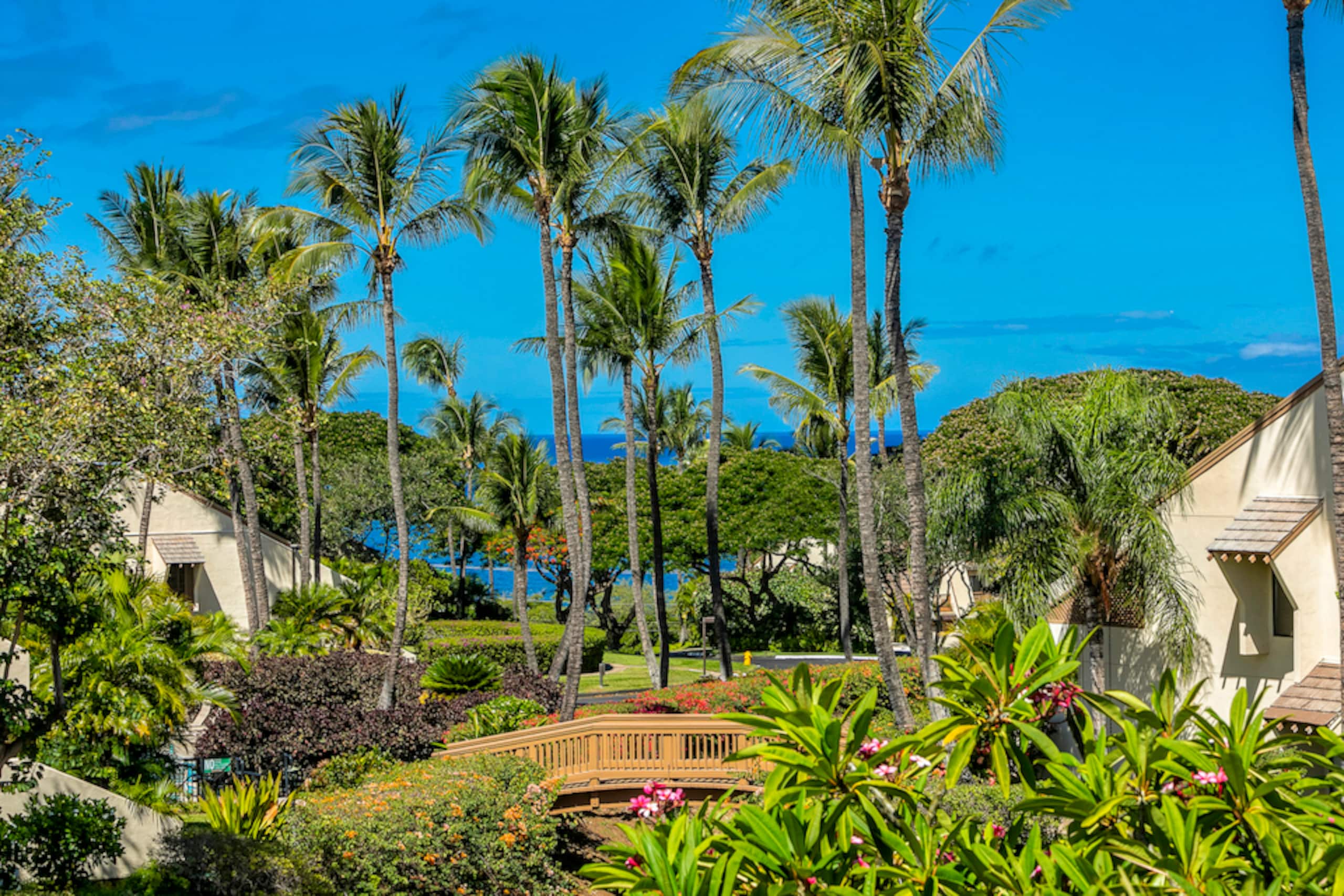 Condo in Kihei · ★4.9 · 2 bedrooms · 2 beds · 2 baths - Image 59