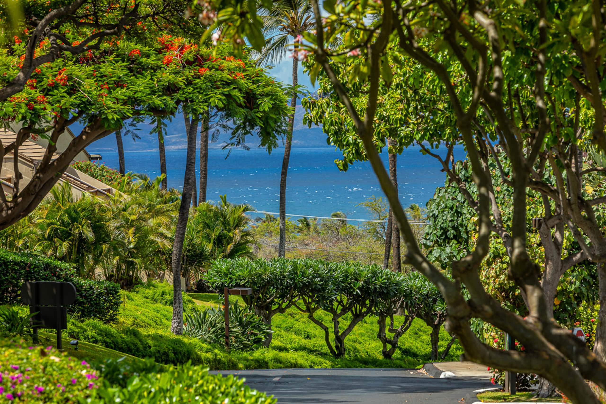 Condo in Kihei · ★4.9 · 2 bedrooms · 2 beds · 2 baths - Image 58