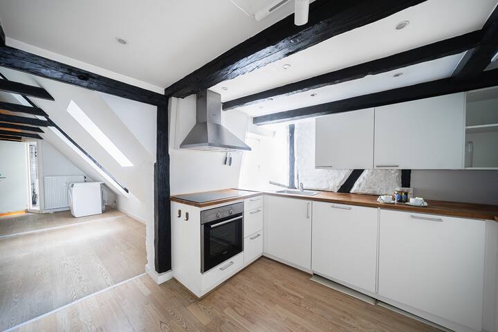 Charming 2-BR duplex in a central location – 165