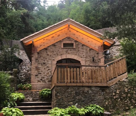 The Cabin - The Forest Apartments