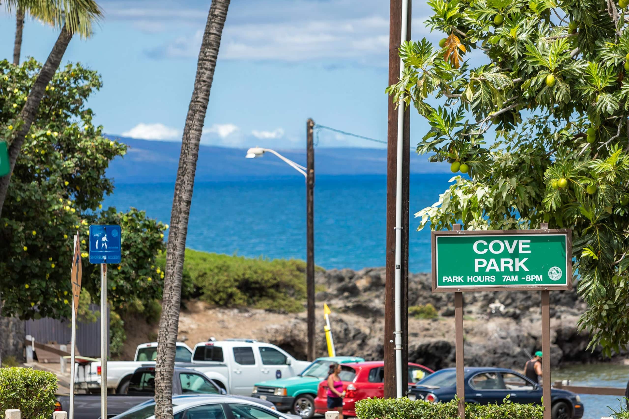 Condo in Kihei · ★4.7 · 2 bedrooms · 2 beds · 2 shared baths - Image 44