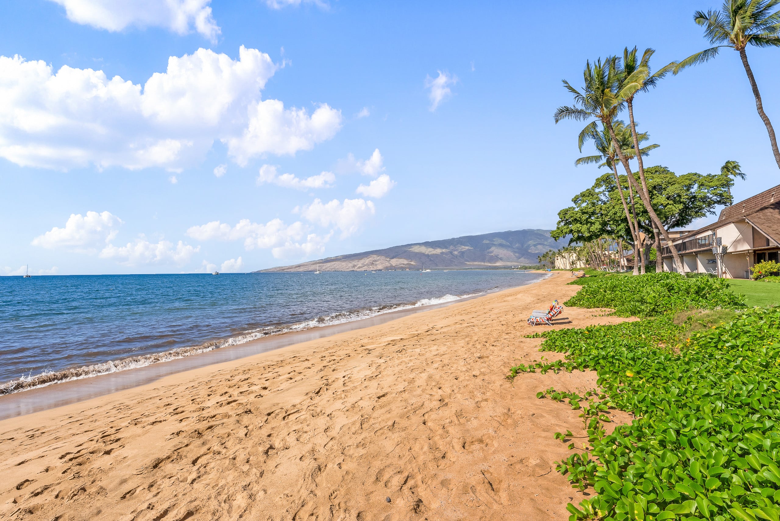 Condo in Kihei · ★4.97 · 2 bedrooms · 4 beds · 2 baths - Image 46