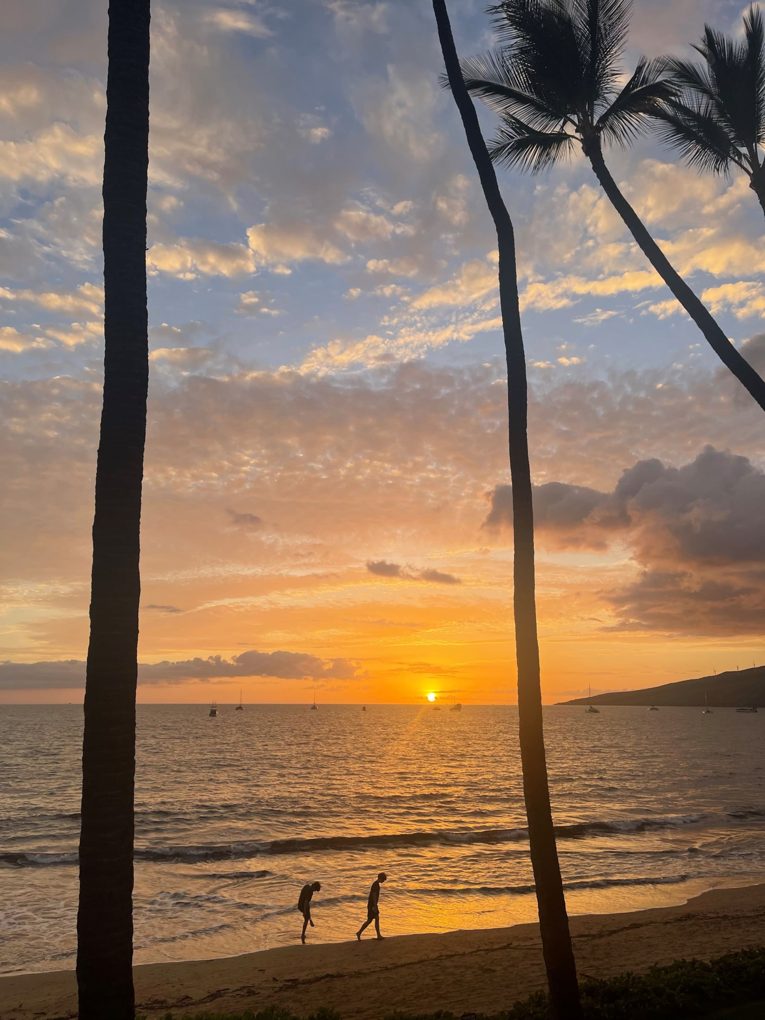 Condo in Kihei · ★4.97 · 2 bedrooms · 4 beds · 2 baths - Image 52
