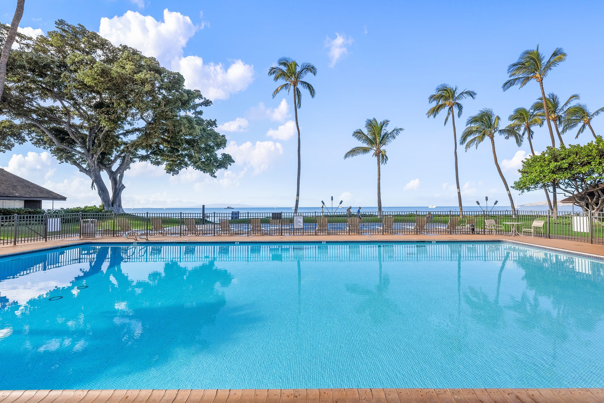 Condo in Kihei · ★4.97 · 2 bedrooms · 4 beds · 2 baths - Image 41