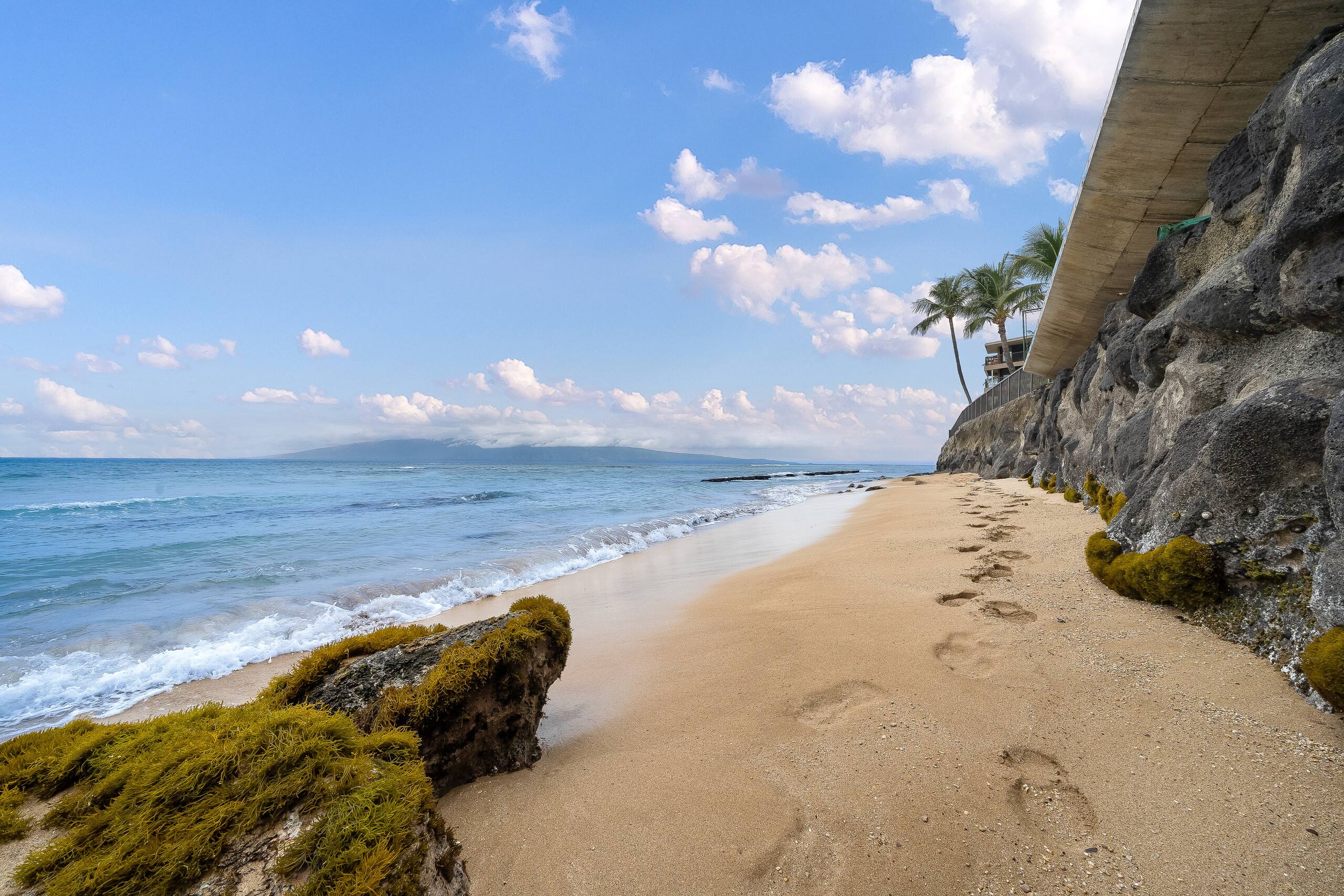 Condo in Lahaina · ★4.63 · 1 bedroom · 2 beds · 1 shared bath - Image 32