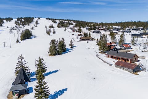 Budor Alpinlodge - 60 min OSL - Alpin - Langrenn